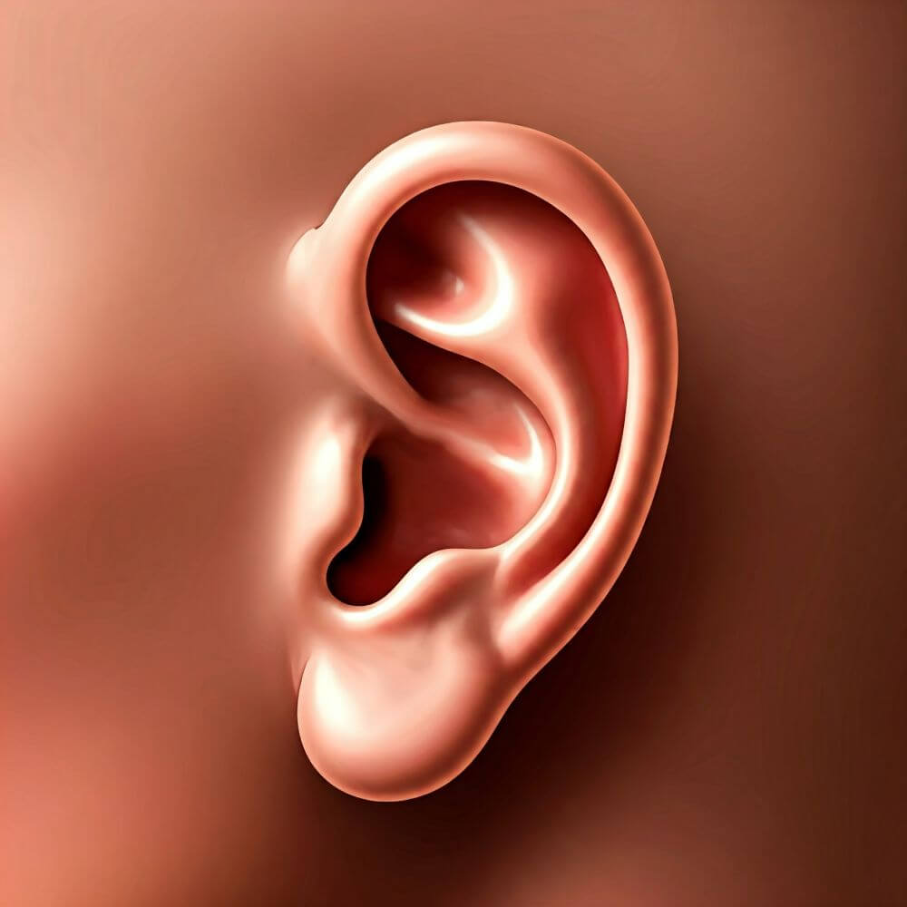 Oreja. Tinnitus pulsátil