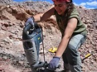 Elena Cuesta Fidalgo