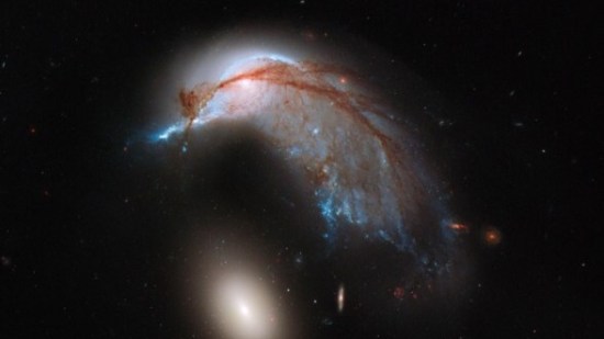 Animales galácticos