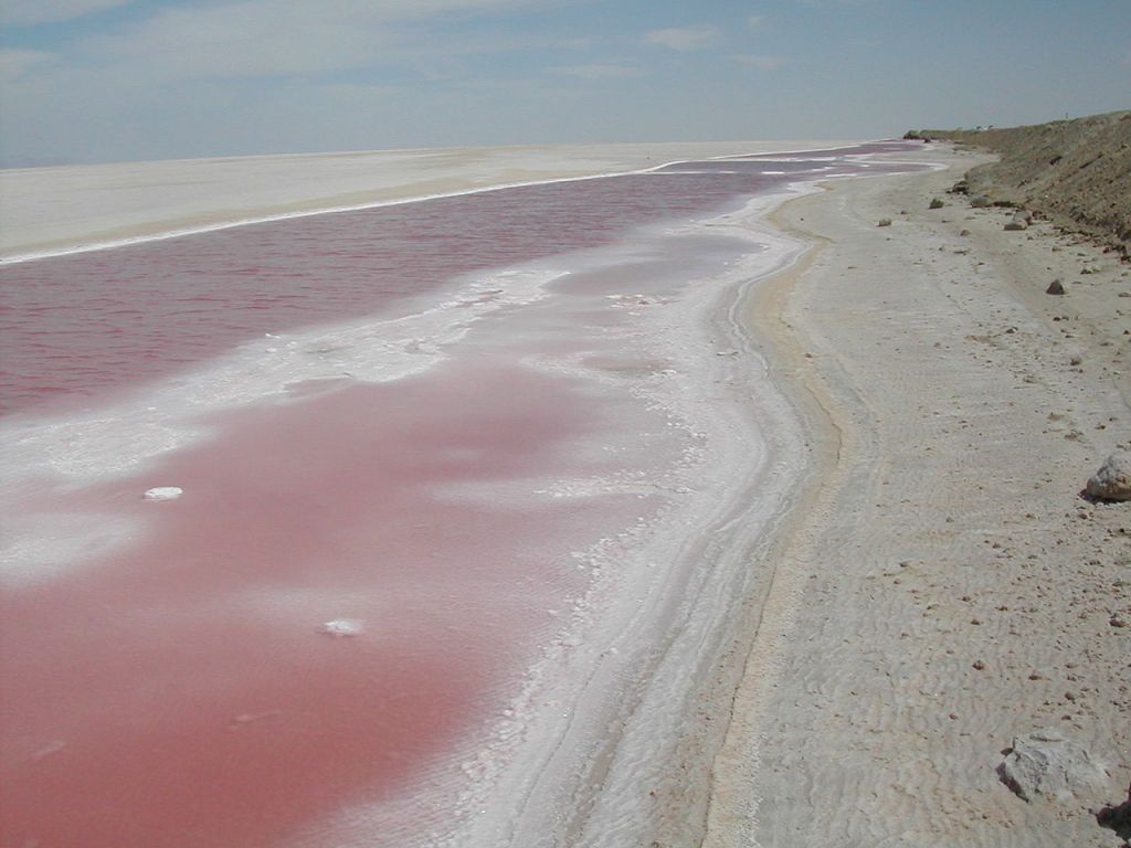Chott el Djerid (Túnez)