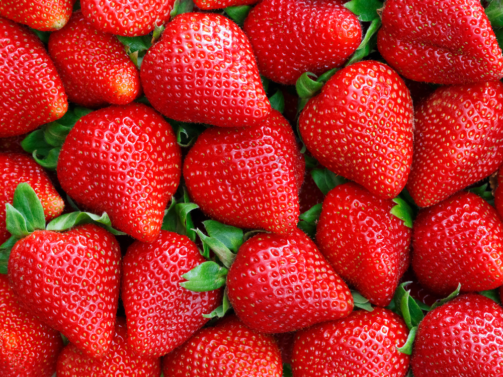 fresas