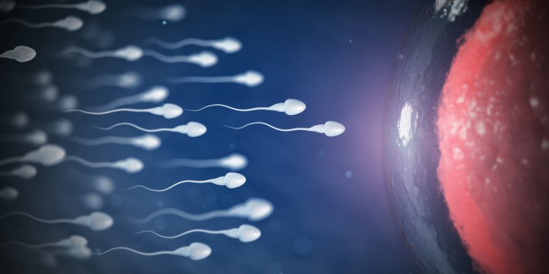 Factores que mejoran la calidad del semen