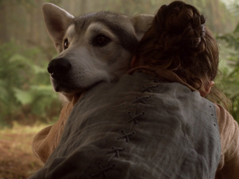 Arya abrazando a la loba Nymeria
