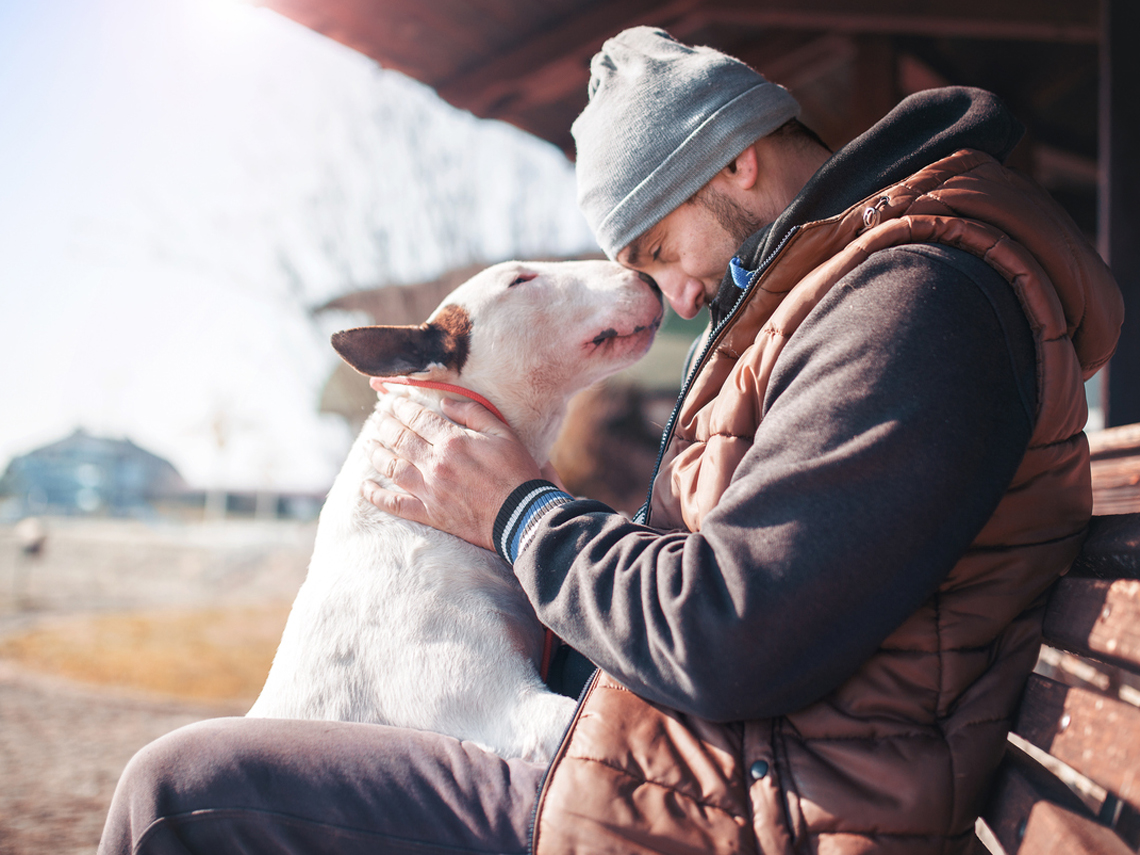 perro cariñoso con su dueño