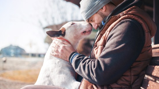 perro cariñoso con su dueño