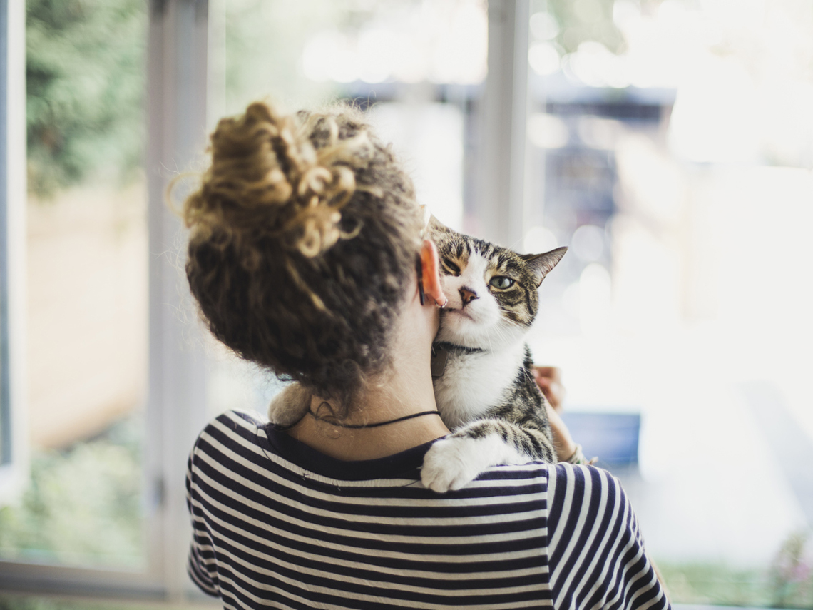 gatito con su dueña