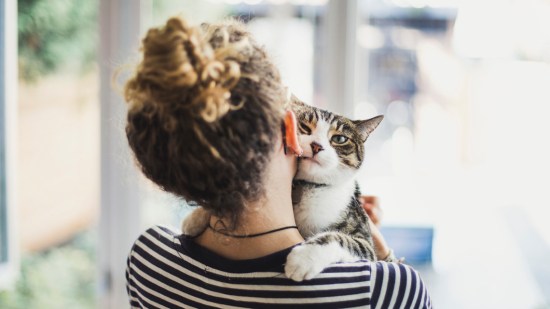 gatito con su dueña
