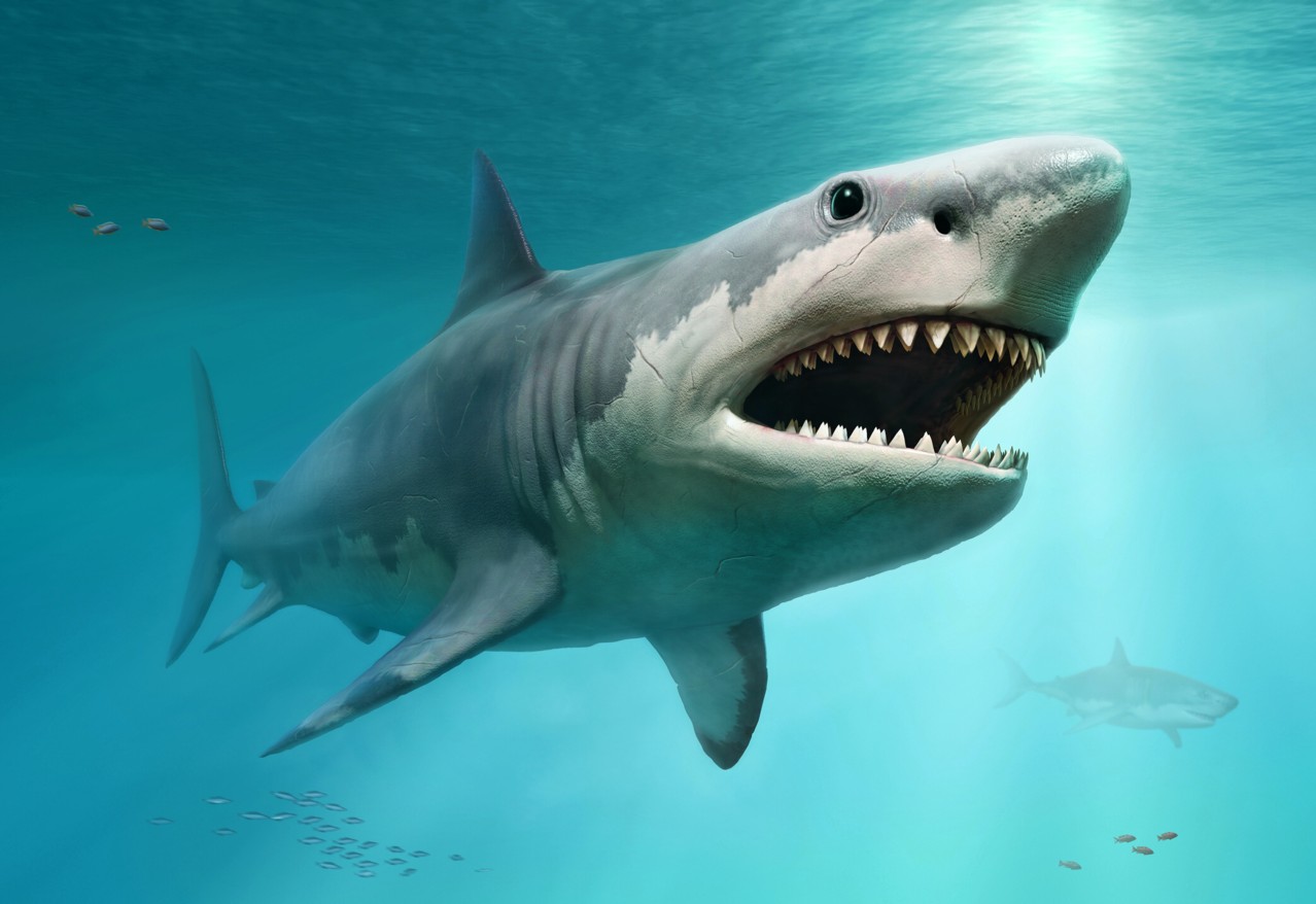 tiburones-prehistoricos