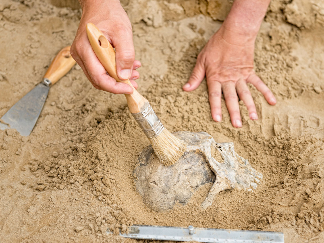 Asia, cuna de la humanidad