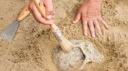 Asia, cuna de la humanidad