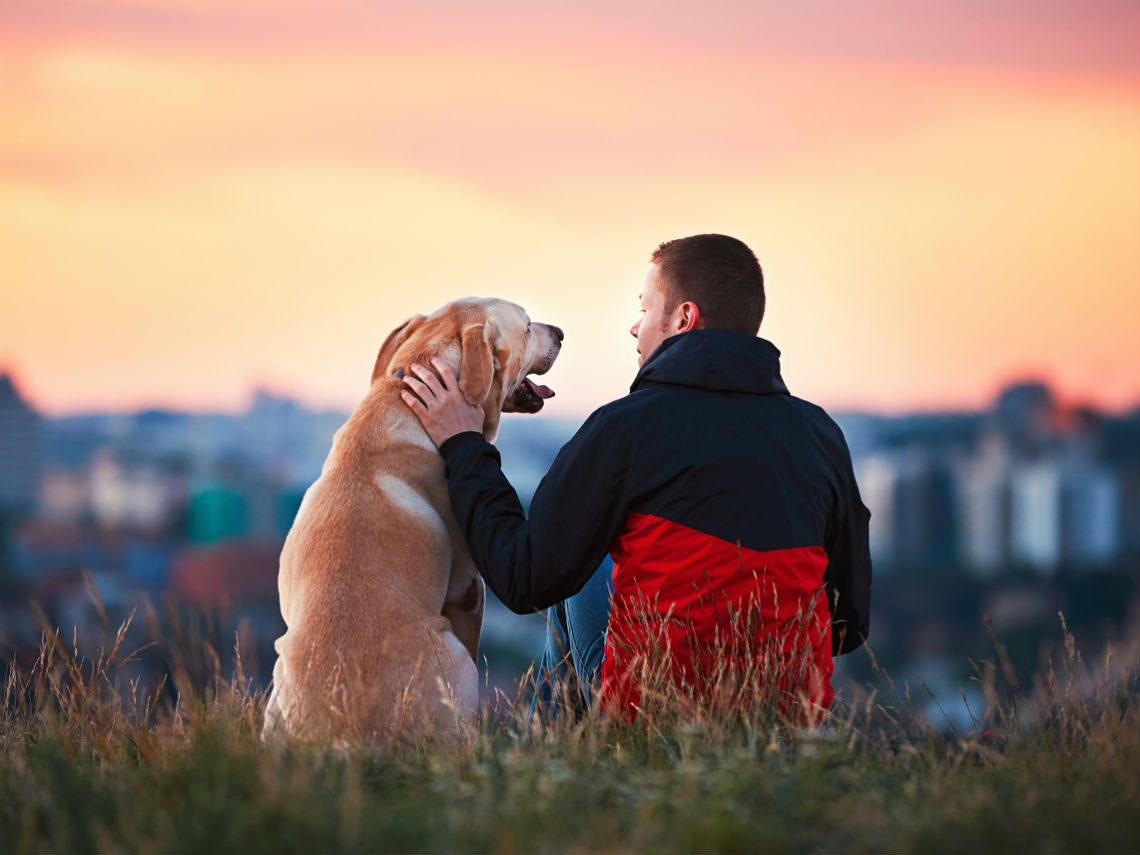 perro y chico juntos