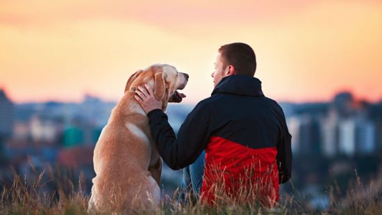 perro y chico juntos