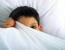 ¿Qué es la bogifobia?