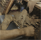 ¿Cómo se hace un puro?