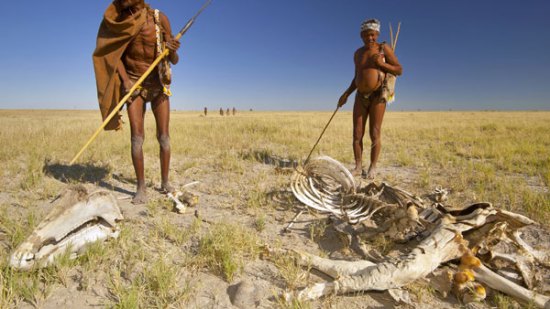 ¿Cuántas tribus aisladas quedan en el planeta?