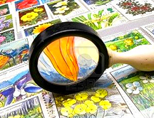 ¿Coleccionar objetos puede ser patológico?