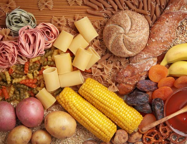 ¿Cuál es la función de los hidratos de carbono?