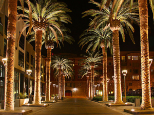 ¿Por qué se llama "Silicon Valley"?