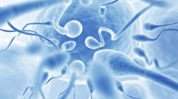 ¿Se puede tener alergia al semen?