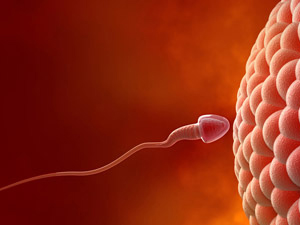 ¿Por qué se mueven los flagelos?