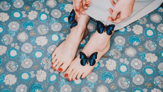 ¿Qué es la formicofilia?