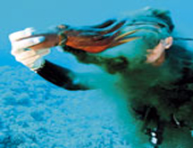 ¿Cómo fabrica la tinta el calamar?