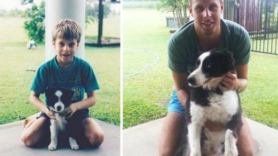 Chico con border collie creciendo juntos