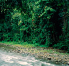 ¿Dónde está la mayor biodiversidad del planeta?