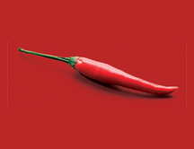 ¿Por qué los pájaros pueden tomar chile picante sin inmutarse?