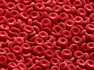 ¿Cuál es la arteria más grande?