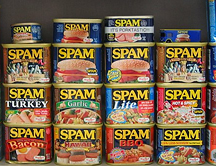 ¿Cuál es el origen de la palabra "spam"?
