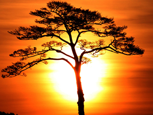 ¿Cuándo empieza el verano?