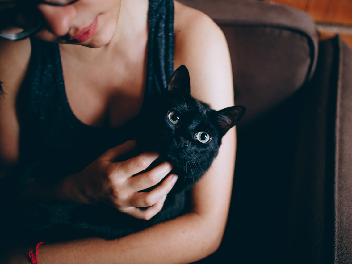 Gato negro en brazos