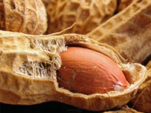 ¿Es más sano tomar los cacahuetes con o sin piel?