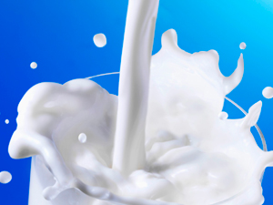 ¿Cuál es la leche con mayor contenido en proteínas?