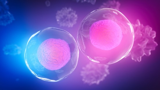 célula cuerpo humano