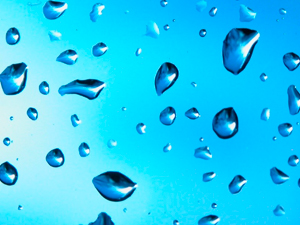 Diseñan un material transparente inspirado en las lágrimas