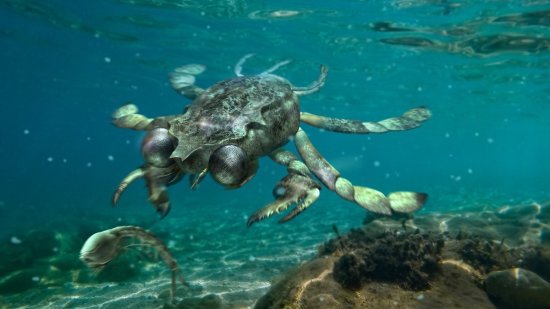 cangrejo-prehistorico