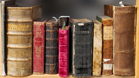 Leer libros en la infancia estiliza tu cerebro