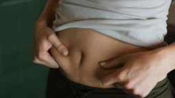 ¿La grasa corporal se puede considerar un órgano?