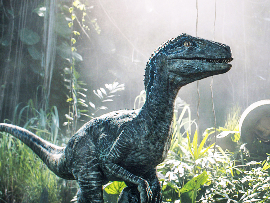 Velociraptor en Jurassic World: El Reino Caído