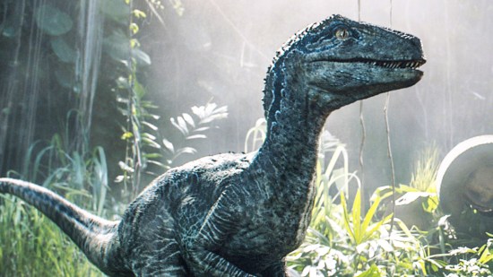 Velociraptor en Jurassic World: El Reino Caído