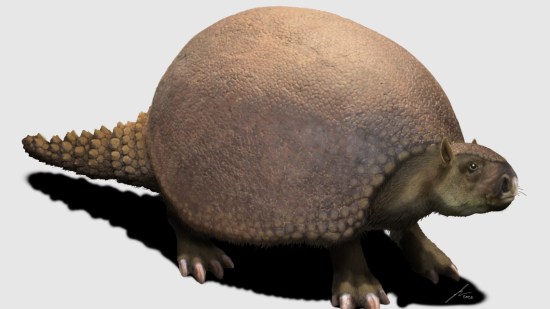 Glyptodon, un armadillo gigante del Pleistoceno