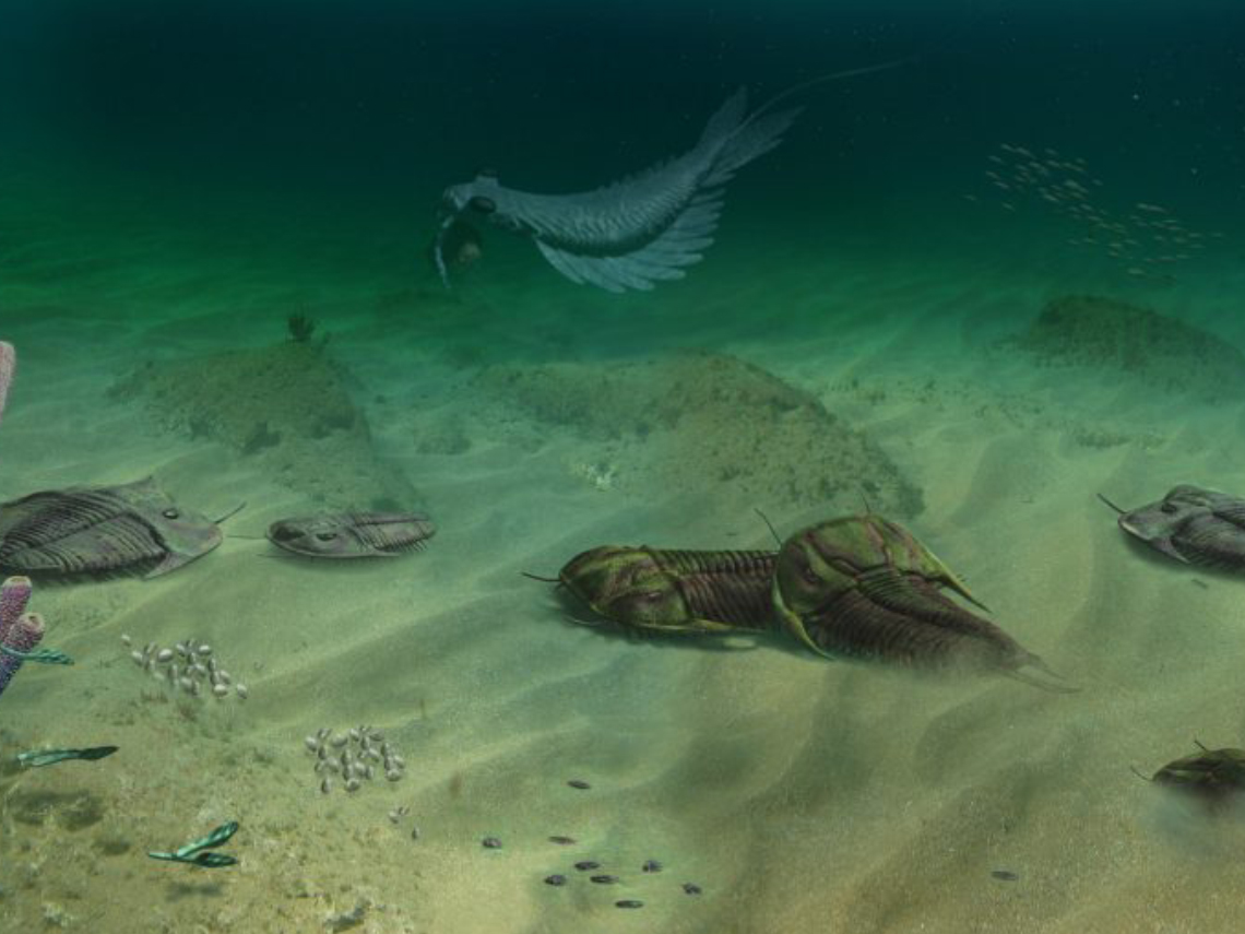 Reconstrucción de un paleoecosistema del Cámbrico medio