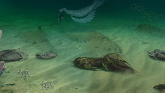 Reconstrucción de un paleoecosistema del Cámbrico medio