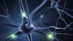 comunicacion-neuronas