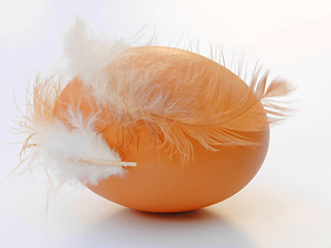 Comer huevos no sube el colesterol de los adolescentes