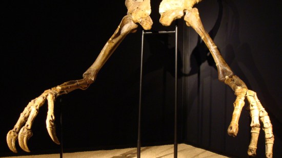 Deinocheirus