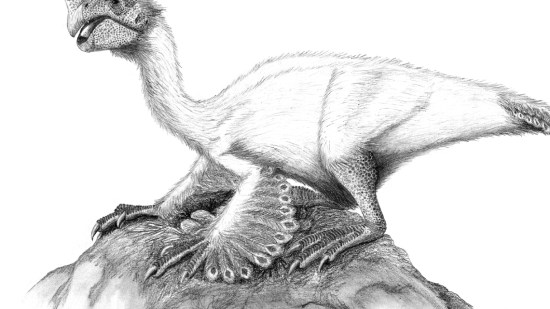 Oviraptor