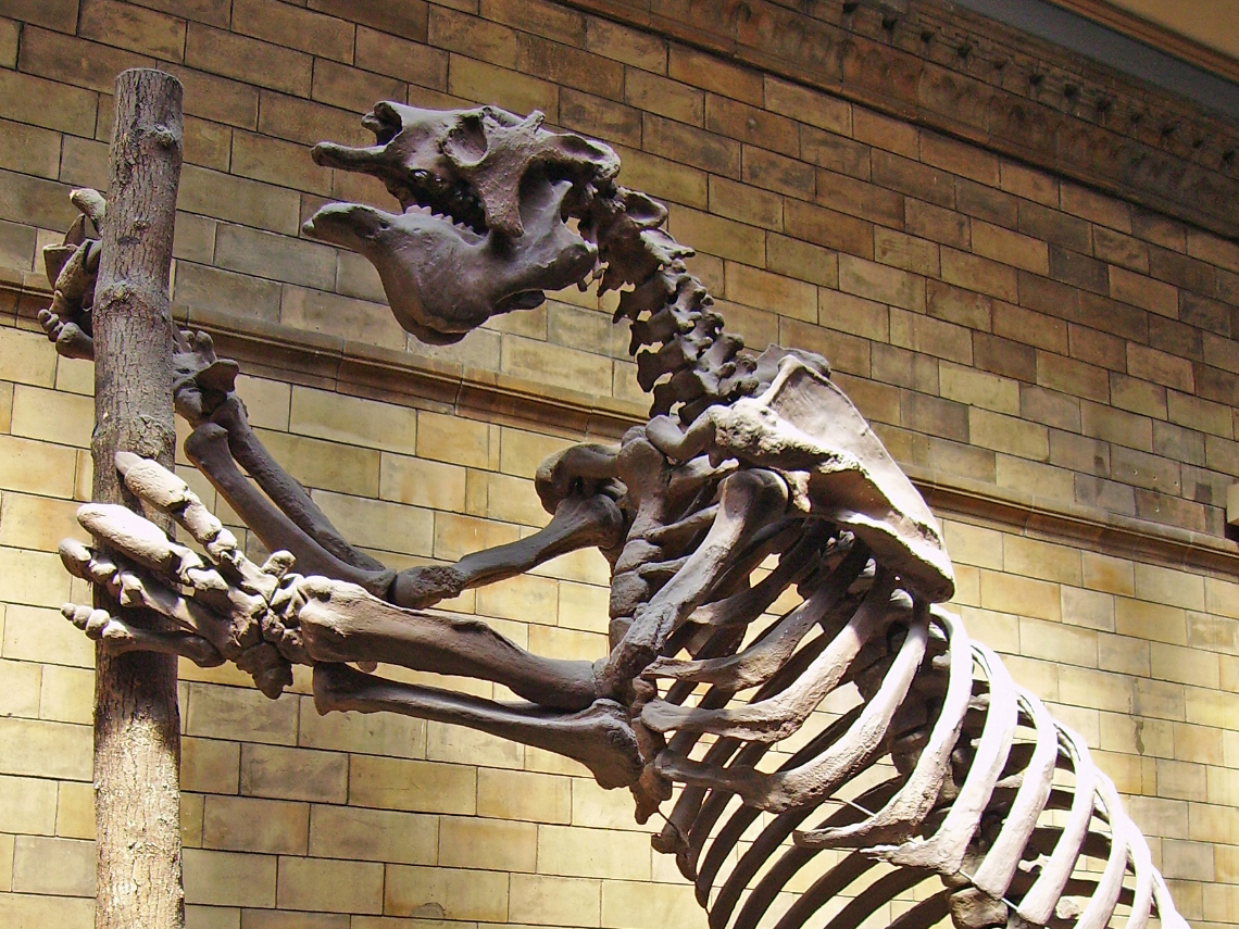 Megafauna pleistoceno